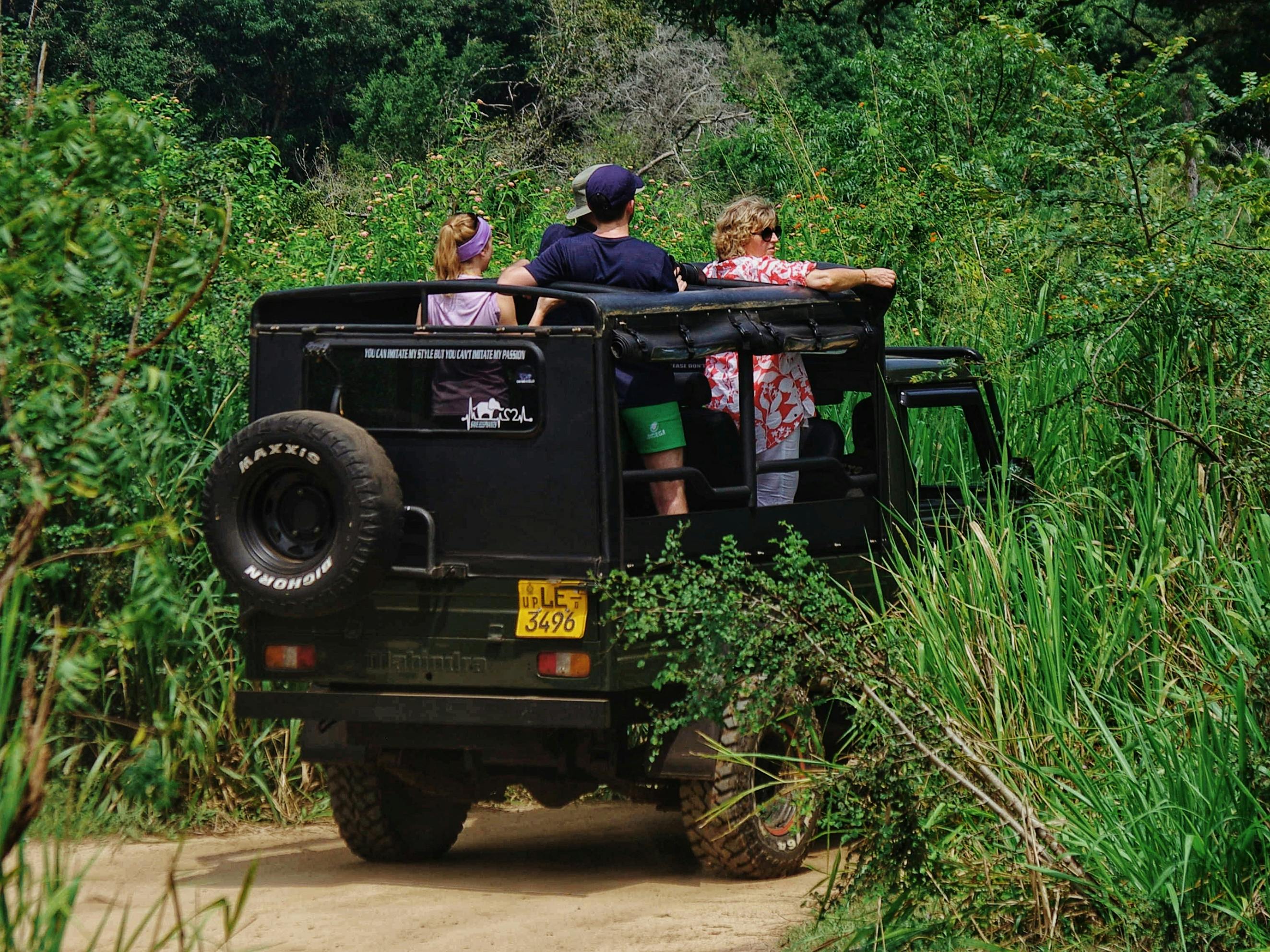 Wilpattu National Park safari wildlife Sri Lanka leopard elephant